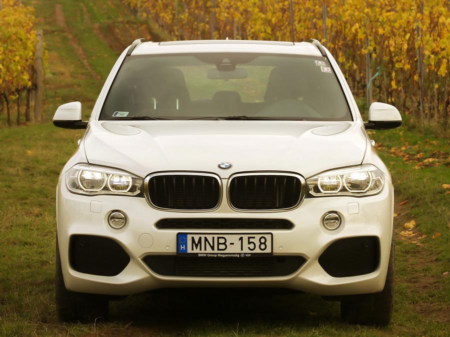  BMW X5 xDrive 3.0d M Sport Package 2013 года  (фото 2 из 10)